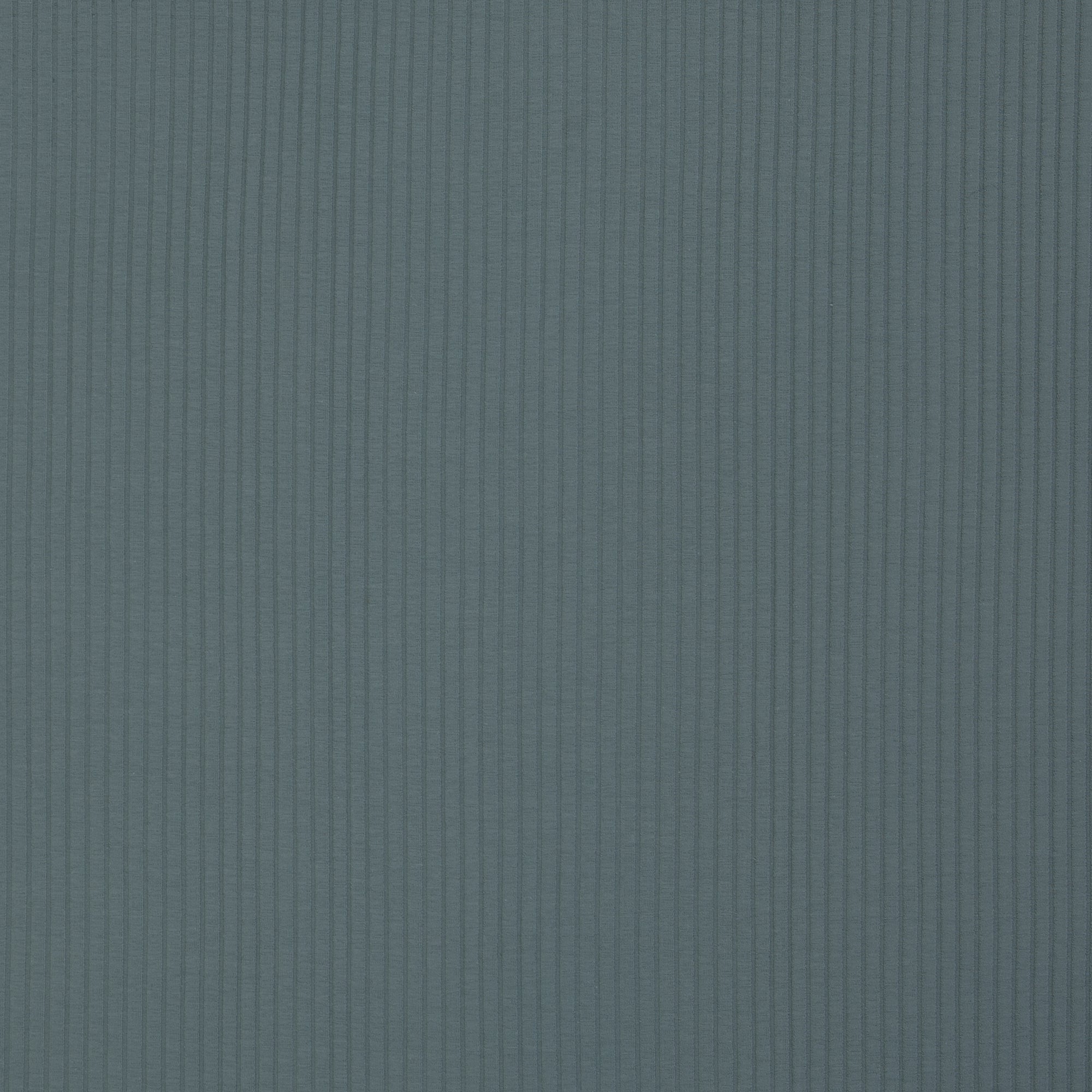 Baumwoll-Ripp-Jersey "Andrick" petrol