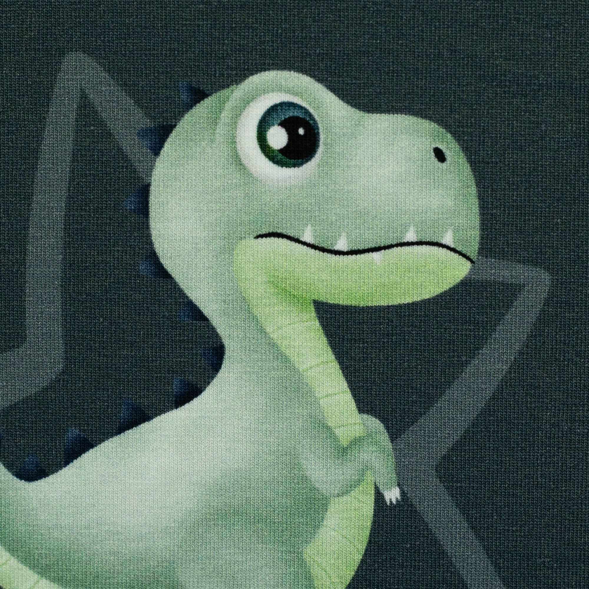 Baumwolljersey Panel "Little Legend" by Mrs Mint Design anthrazit