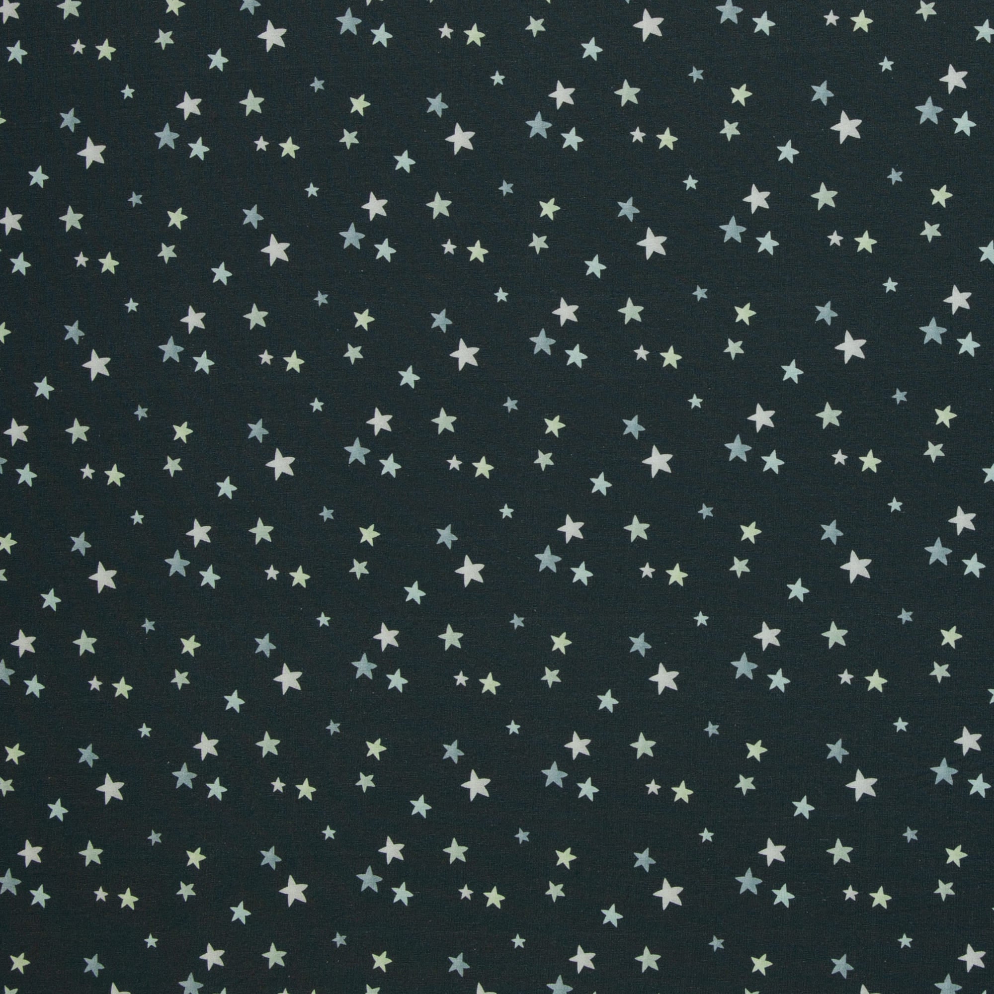 Baumwolljersey Panel "Little Legend" by Mrs Mint Design anthrazit