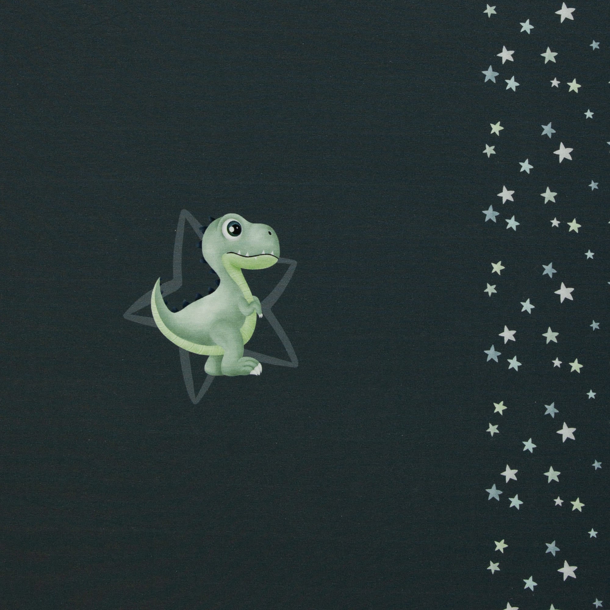 Baumwolljersey Panel "Little Legend" by Mrs Mint Design anthrazit